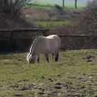 Die ersten wärmenden Sonnenstrahlen im Frühjahr.