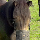 Gemütliche Mittagspause bei den Oldis.