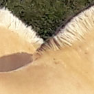 Fellpflege zwischen Silvius und Teddy Luke.